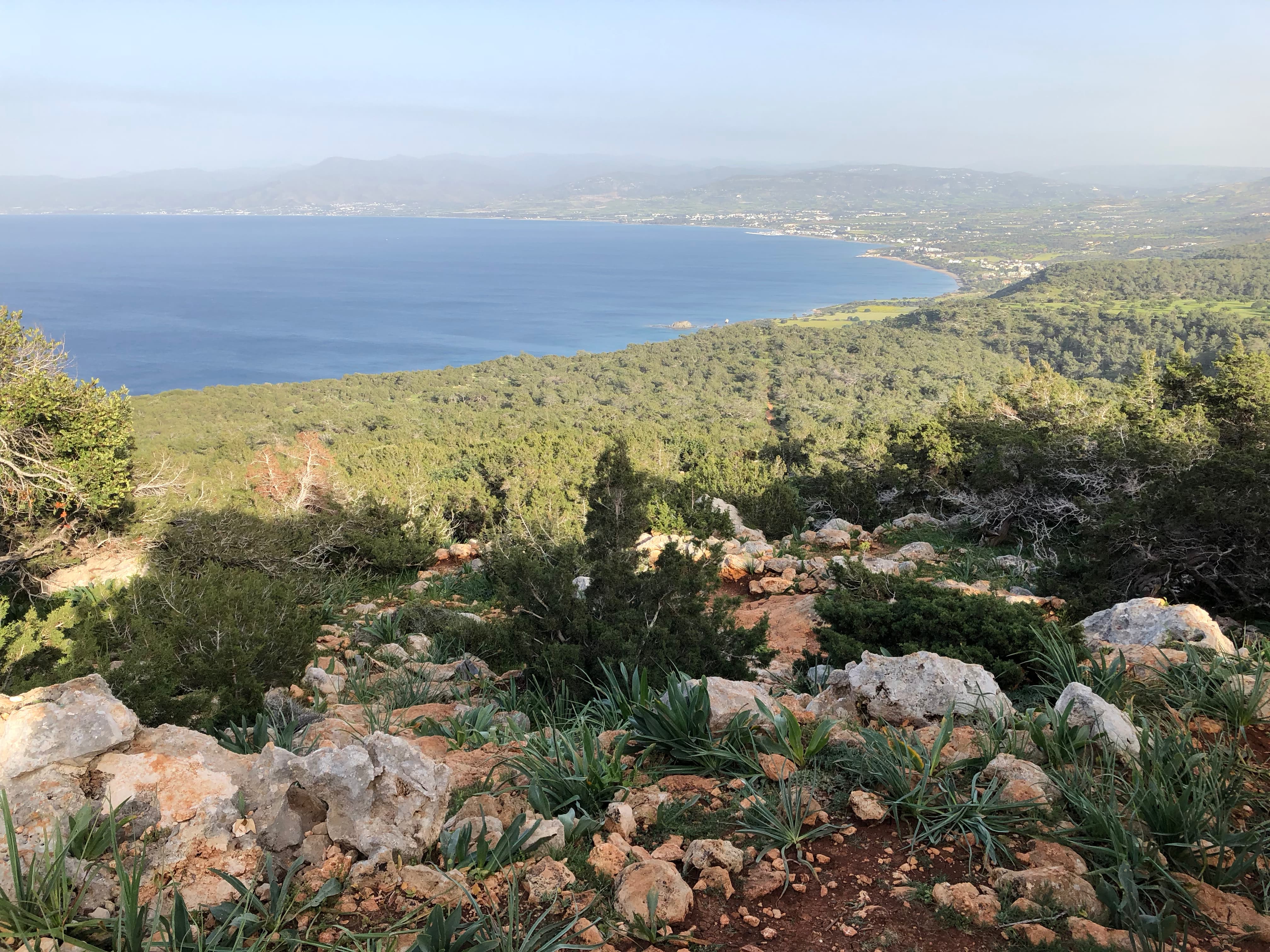 Aerial view of Cyprus coast and forests