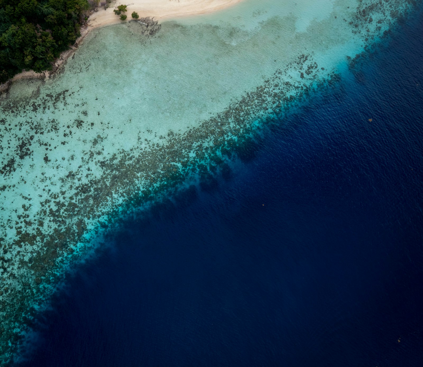 Cyprus vs BVI vs Cayman Islands: Which Jurisdiction for Your Holding Structure?